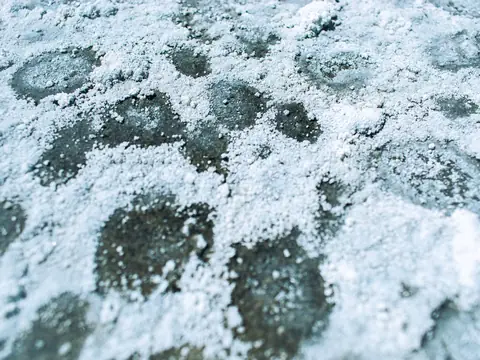 White salt crystals spread over a dark surface
