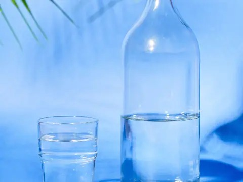 A glass bottle and a glass of water on a blue backdrop under palm leaves