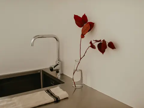 A steel kitchen sink and chrome faucet beside a sprig of red leaves in a glass vase