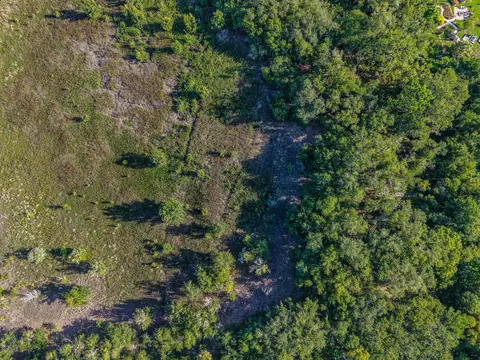 Green Florida woodland and open scrub seen from the air