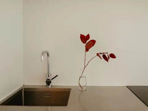A chrome faucet over a steel kitchen sink beside a sprig of red leaves